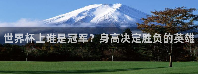 2026世界杯直播免费观看：世界杯上谁是冠军？身高决定胜负的英雄