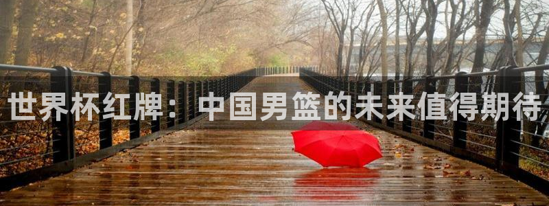 世界杯：世界杯红牌：中国男篮的未来值得期待