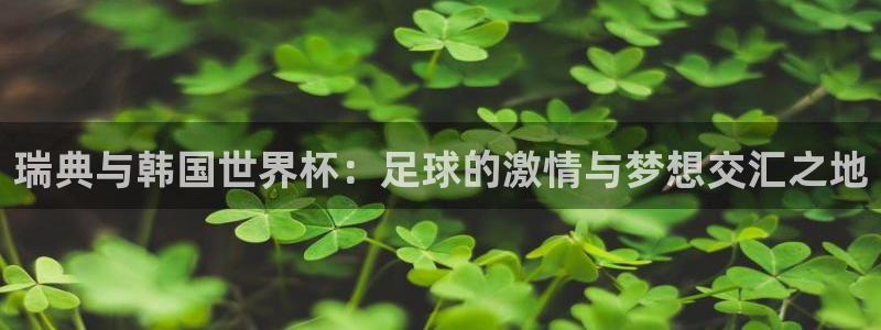 今年的世界杯：瑞典与韩国世界杯：足球的激情与梦想交汇之地