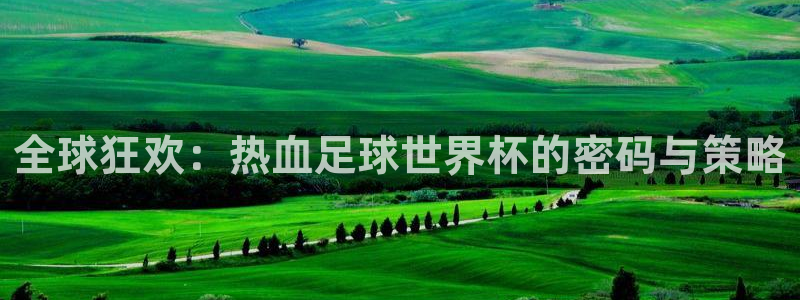 2026世界杯欧洲预选赛赛程表：全球狂欢：热血足球世界杯的密码与策略
