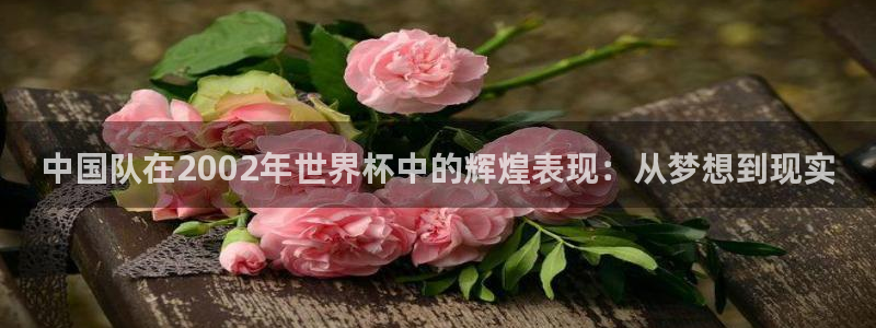 2026年世界杯赛程：中国队在2002年世界杯中的辉煌表现：从梦想到现实
