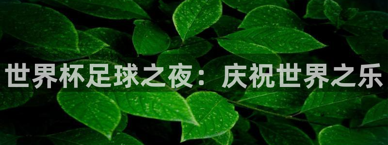 世界杯亚洲区预选赛：世界杯足球之夜：庆祝世界之乐