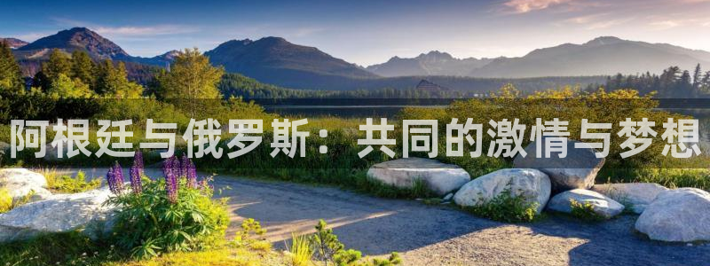 世界杯赛程时间表：阿根廷与俄罗斯：共同的激情与梦想