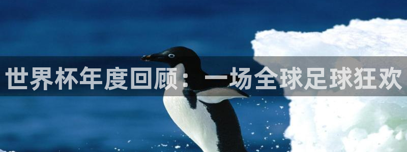 世界杯在线直播：世界杯年度回顾：一场全球足球狂欢