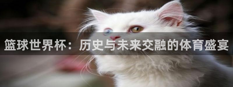 世界杯预选赛欧洲赛区积分榜：篮球世界杯：历史与未来交融的体育盛宴