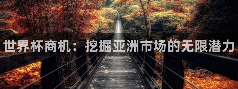 世界杯球队：世界杯商机：挖掘亚洲市场的无限潜力