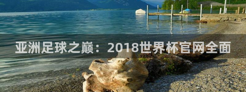 2026年世界杯：亚洲足球之巅：2018世界杯官网全面