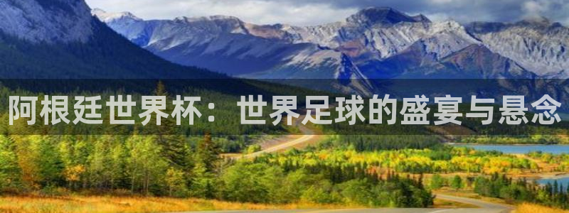 亚洲区世界杯预选赛：阿根廷世界杯：世界足球的盛宴与悬念